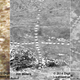 Image for article titled Newly-Discovered Geoglyphs Are So Big, NASA Is Helping Study Them From Space